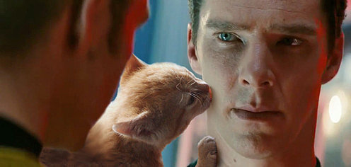 Benedict-Cumberbatch-Cats.jpg