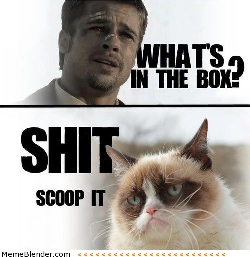 grumpy-cat-whats-in-the-box.jpg