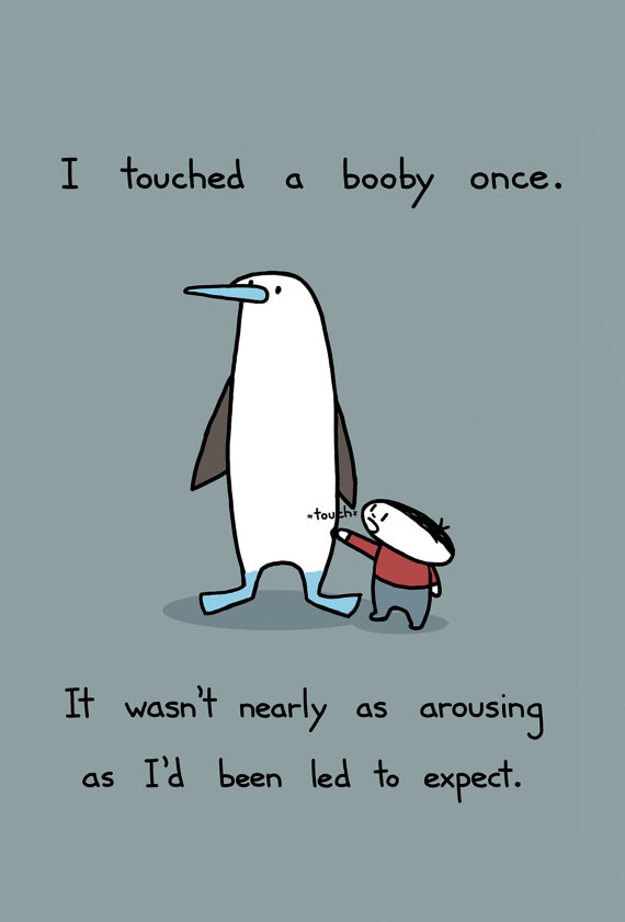 touched a booby.jpg