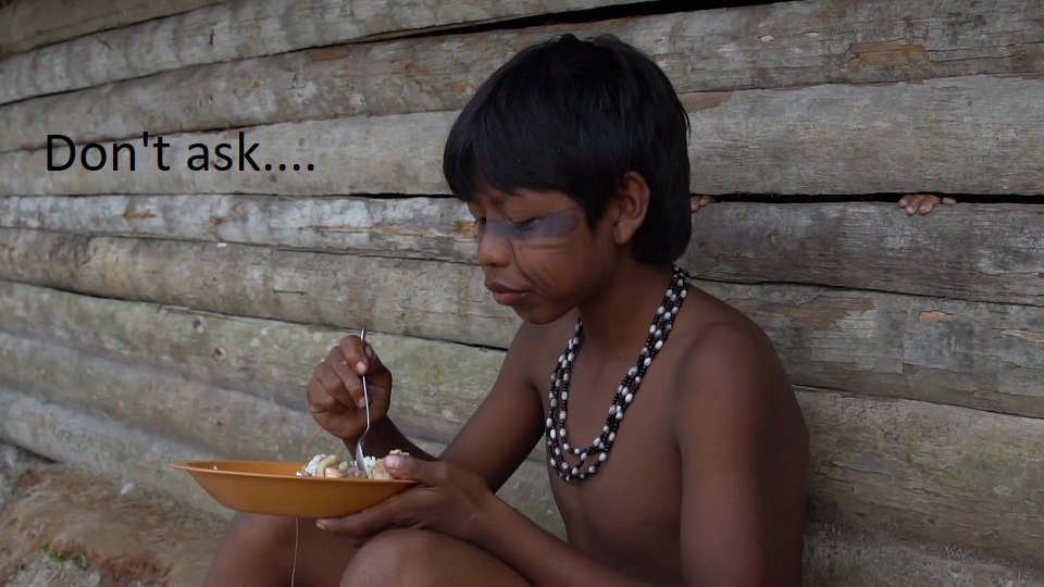 videoblocks-native-brazilian-child-eating-food-at-tupi-guarani-tribe_r6doau1jz_thumbnail-full01.png